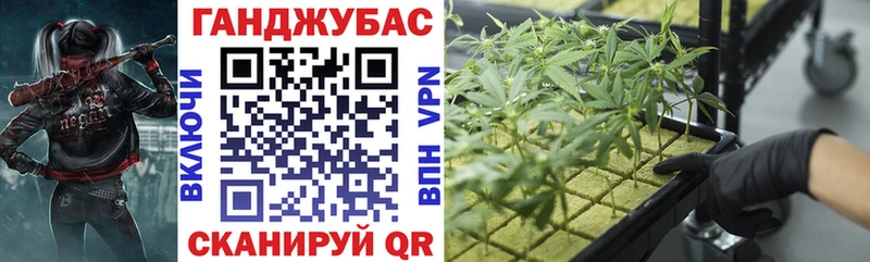 Где продают наркотики Адыгейск КОКАИН  Мефедрон  Галлюциногенные грибы  Гашиш 