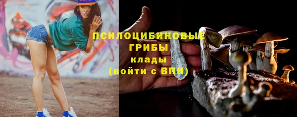 СК Абинск